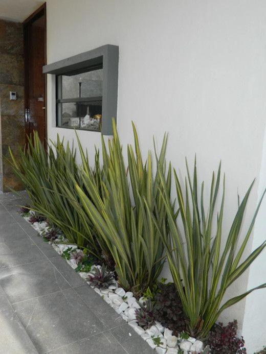 Apartamento Erita Apartamento Alicante Exterior foto